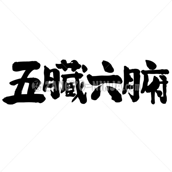 the internal organs in Kanji calligraphy ごぞうろっぷ 漢字